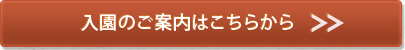 入園のご案内はこちらから